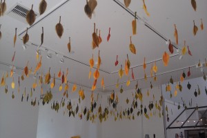 Landscape of time Installation