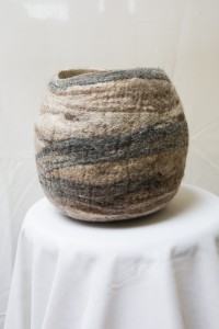 Nest (2)